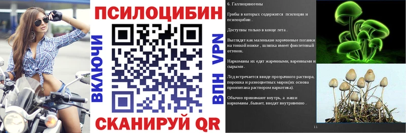 Псилоцибиновые грибы Psilocybe  Советск 