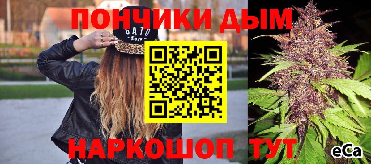 Бошки Шишки Советск